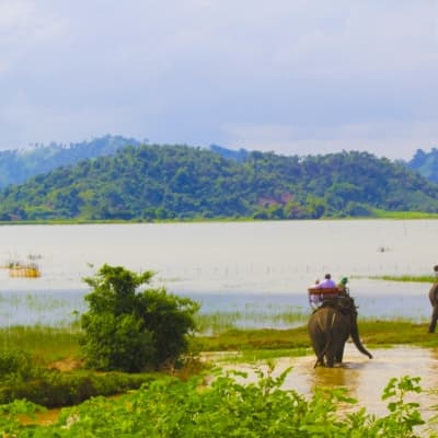 Balade à dos d'éléphants