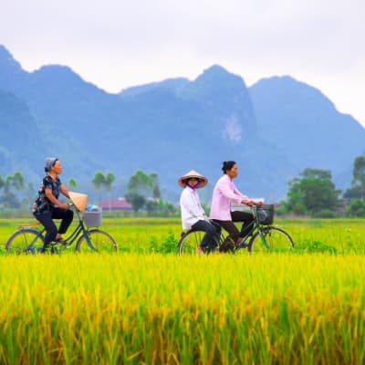 La campagne à bicyclette