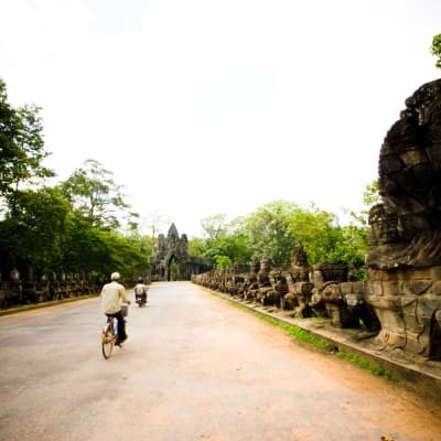 Le site d'Angkor à bicyclette
