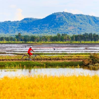 Vélo jusqu'à Luong Son