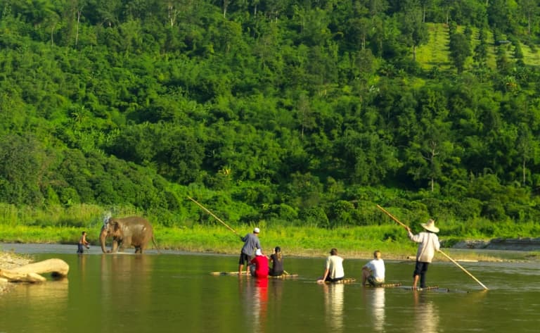 Balade à dos d'éléphants au Laos