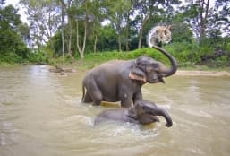 Le Cambodge à l'infini